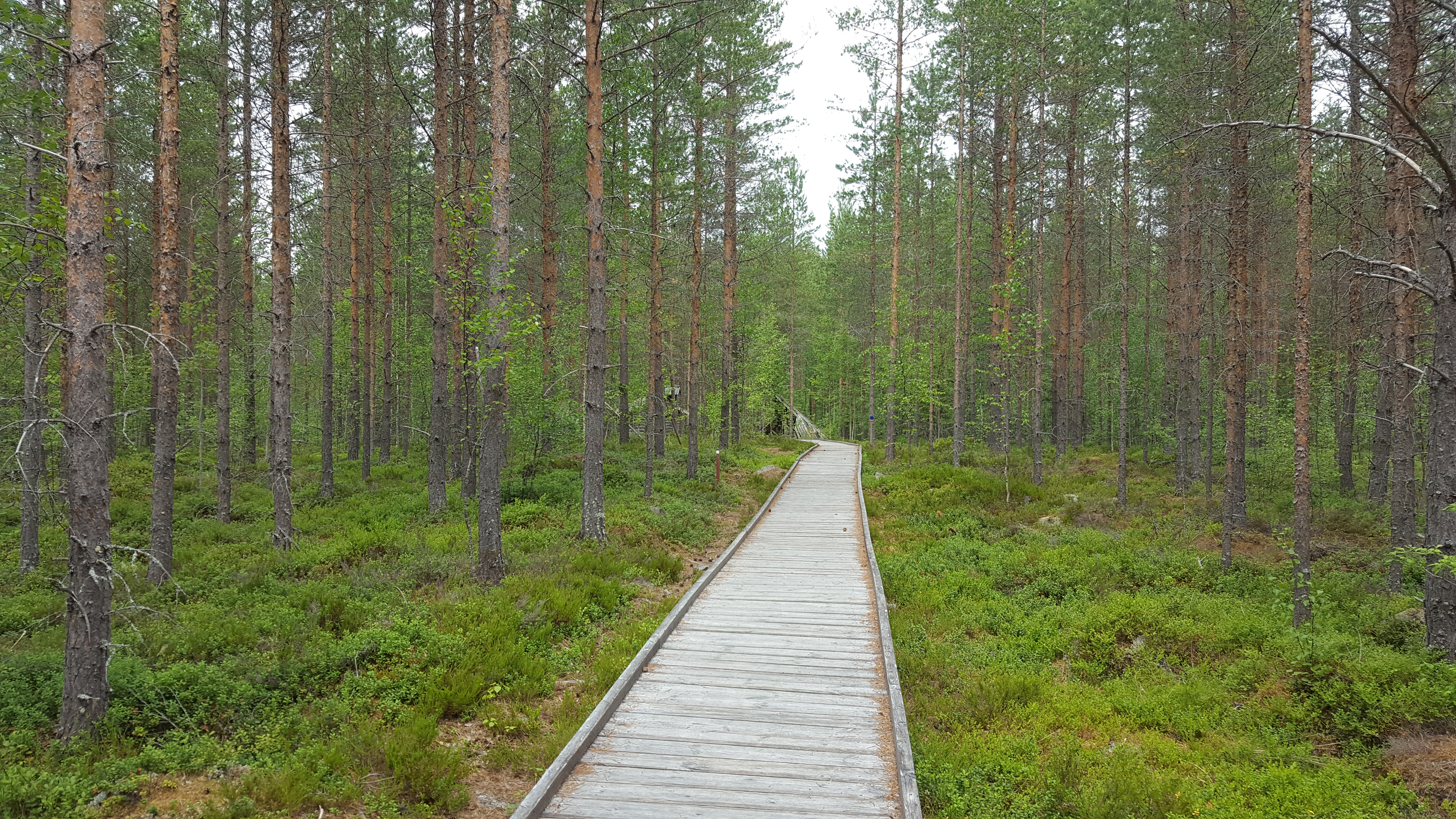 Kalajärvi geological nature trail - Visit Lakeus